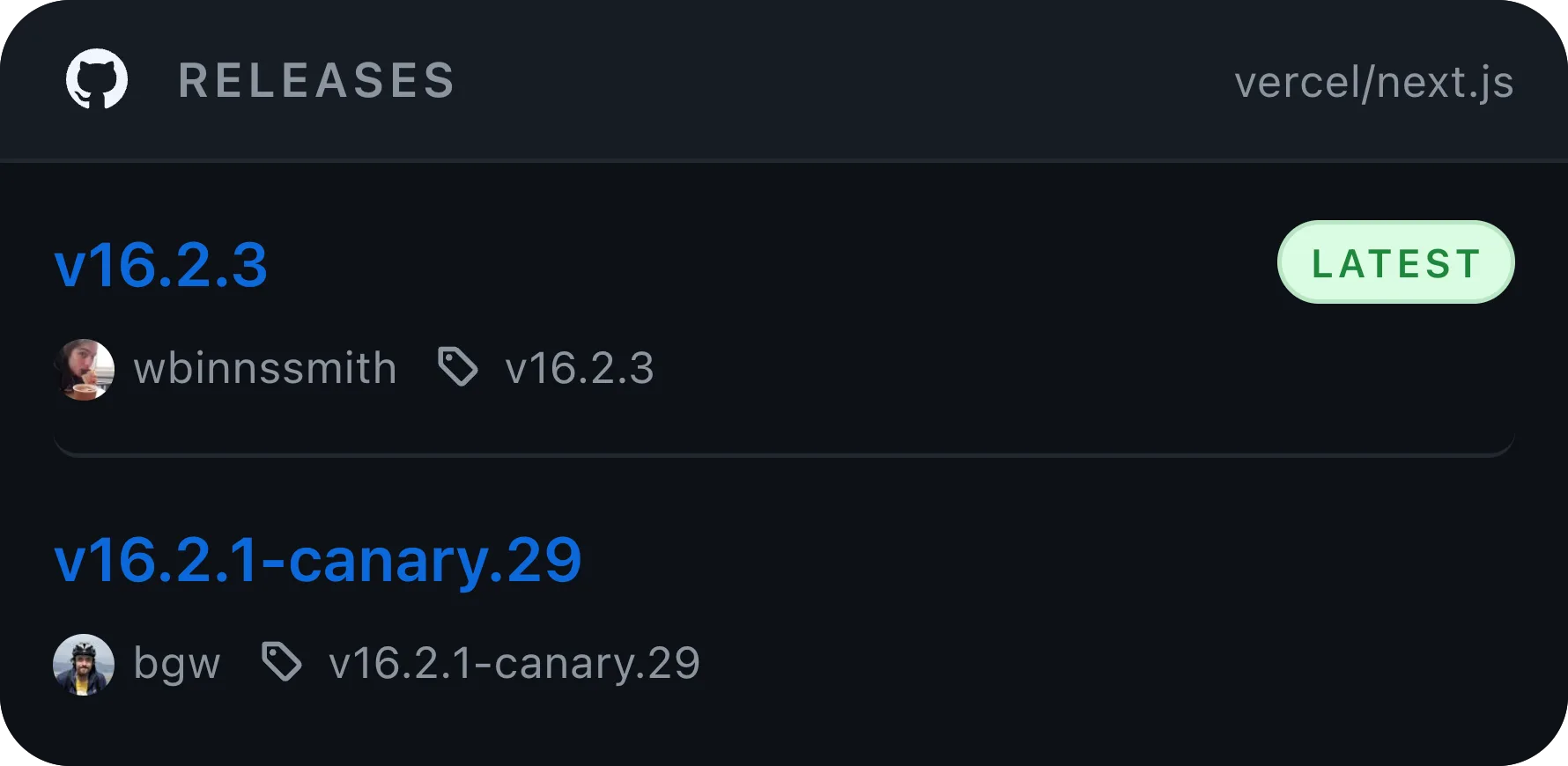 Kepo GitHub Release Watch widget preview