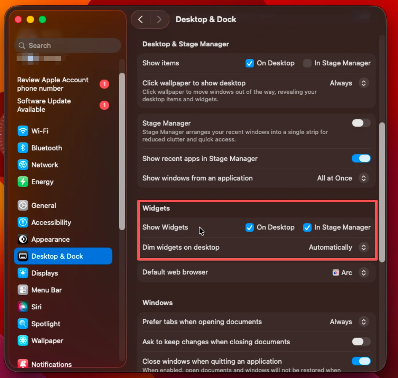 Desktop and Dock widget settings on Mac